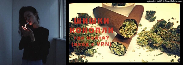 сатива Абинск
