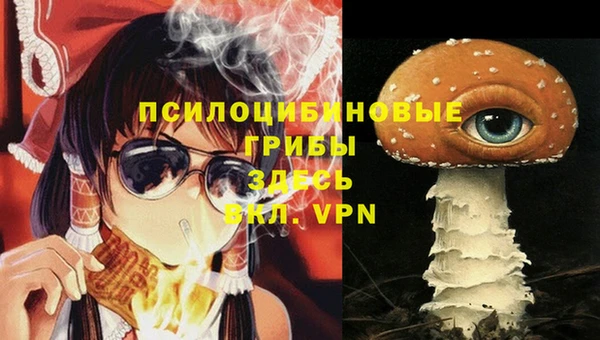 МДПВ Абаза