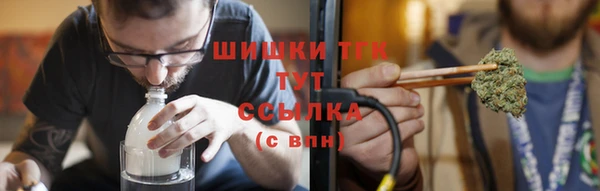 сатива Абинск