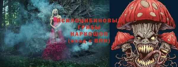 сатива Абинск
