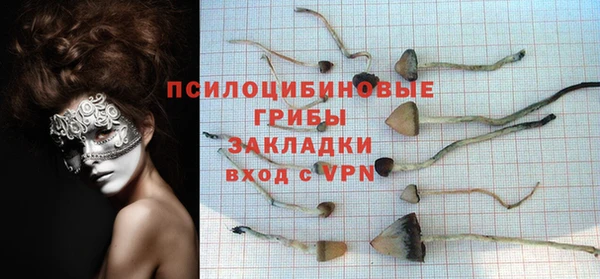 МДПВ Абаза