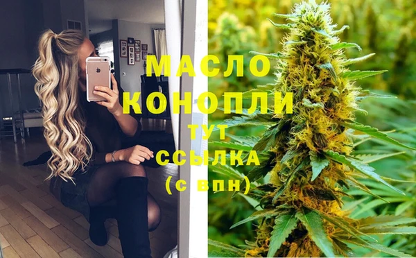 сатива Абинск