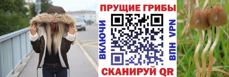 МЕГА как зайти  Новоуральск  Галлюциногенные грибы мухоморы 