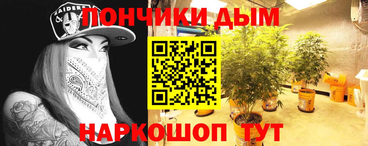 Канабис OG Kush  Конопля Ganja  Конопля семена  Новоуральск  Конопля ГИДРОПОН  Вход с VPN 